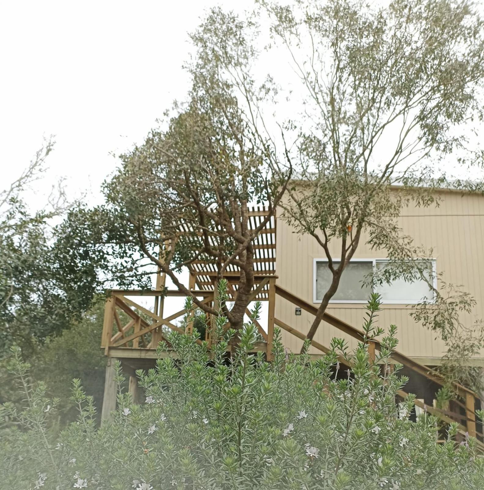 Nio De Baixo Villa La Pedrera Ngoại thất bức ảnh